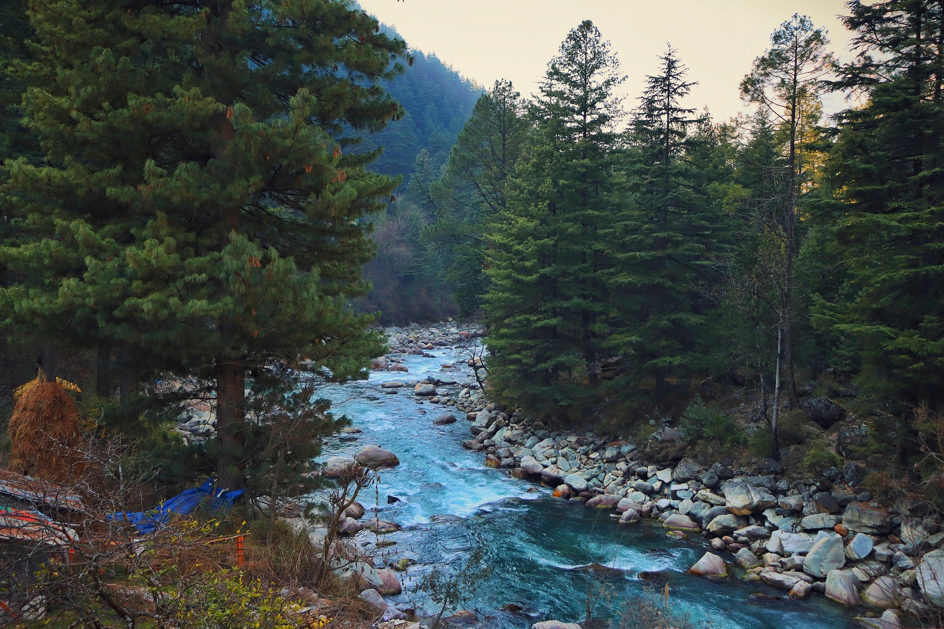 Kashmir (JT-05)